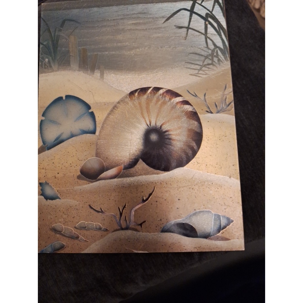 Vintage Cedarwood Trinket Box ‎ Shimmering Shell  Picture from Cape Cod